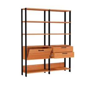 Estante 1 puerta 2 cajones Cucao negro/roble