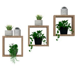 Set 3 repisas Eros rovere