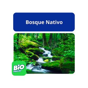 Detergente líquido 3 litros Bosque nativo 2 unidades