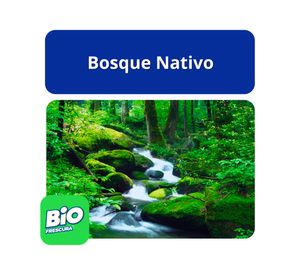 Detergente líquido 3 litros Bosque nativo 2 unidades