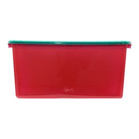 Caja organizadora 61 litros Wenbox Wenco