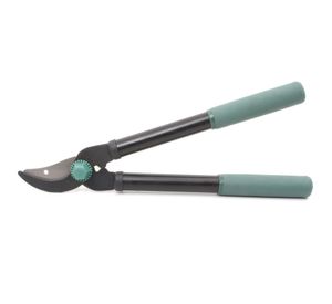 Tijerón bypass corto Roots