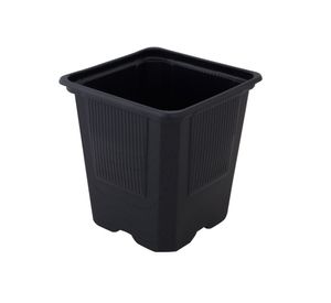 Vasos para transplantes de plantas 10 unidades Bernagroup