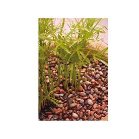 Piedra ágata 25 kilos FVH