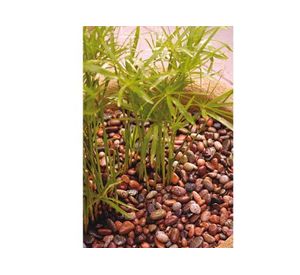 Piedra ágata 25 kilos FVH