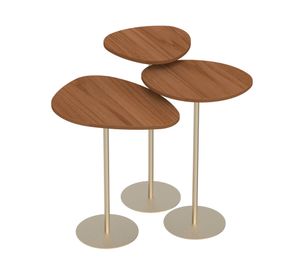 Set 3 mesas laterales irregulares Botanic canela/champán