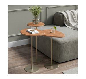 Set 3 mesas laterales irregulares Botanic canela/champán