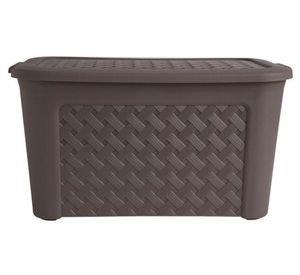 Caja organizadora Ratán taupe polipropileno 24 lt