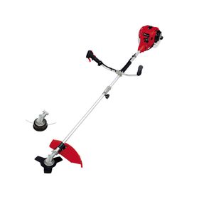 Desbrozadora combustión 25.4 cc 600W GC-BC25/1|AS Einhell