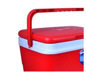 Cooler 22 litros Wenco
