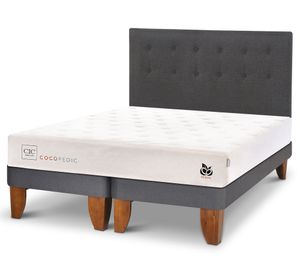Cama europea 2 plazas Cocopedic + respaldo Eufrates Cic.