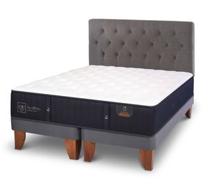 Cama europea 2 plazas Premium base dividida + respaldo Kavery Cic