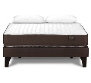 Cama europea 2 plazas Ergo T + almohadas