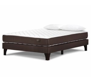 Cama europea 2 plazas Ergo T + almohadas
