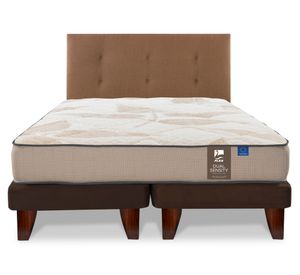 Cama europea 2 plazas base dividida Dual Sensity + respaldo café