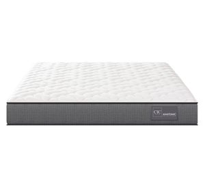 Colchón Anatomic 2 plazas