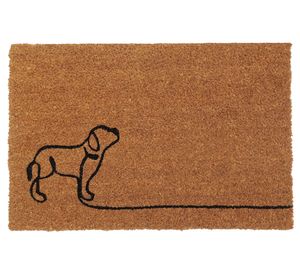 Limpiapiés Pas fibra de coco 45x75 cm