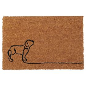 Limpiapiés Pas fibra de coco 40x60 cm