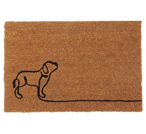 Limpiapiés Pas fibra de coco 40x60 cm