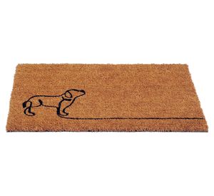 Limpiapiés Pas fibra de coco 40x60 cm