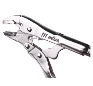 Caimán mordazasW031070 amarillo