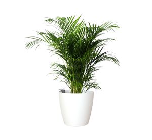 Maceta Autorregante 36 cm San remo blanco