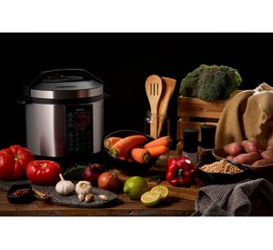 Olla eléctrica a presión OYBW60100H2 gris 6 lt