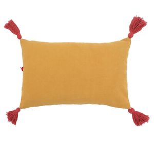 Cojín bordado 30x50 cm C17