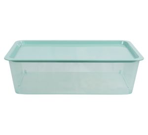 Caja organizadora menta 13 lt
