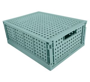 Caja organizadora L Plegable salvia 9.15 lt