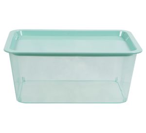 Caja organizadora menta 6 lt