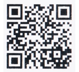 Cocinilla wolf Doite