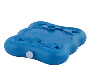 Ice pack 1000 gr Pro outdoor azul