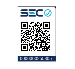 Extractor de jugo 1.4 litros EX-800IN Sindelen