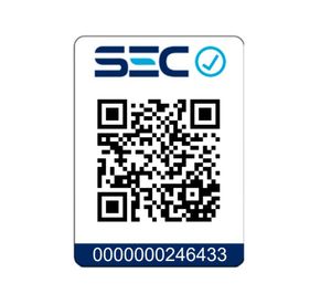 Plancha a vapor vertical 1600W V-1600VBL Sindelen