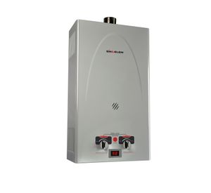 Calefont CFF-101GNSI 10 lt tiro forzado gas natural