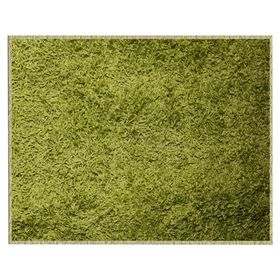 Alfombra 150x200 cm Shaggy verde