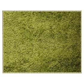 Alfombra 170x230 cm Shaggy verde