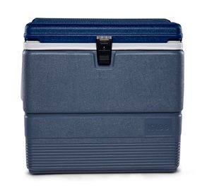 Cooler 66 litros Maxcold Ulitrosra gris