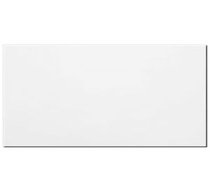 Cerámica muro Ice blanco 30x60 cm 1.44 m2