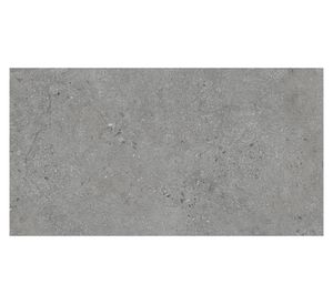Gres porcelanato Orbit gris 60x120 cm 1.44 m2