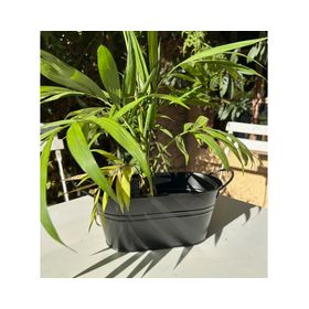 Macetero metálico asa L negro mate 24x12x10 cm