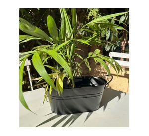 Macetero metálico asa L negro mate 24x12x10 cm