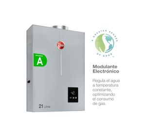 Calefont tiro forzado 21 litros gas natural Rheem
