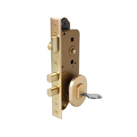 Cerradura embutida con manilla 1080914-BS dorado