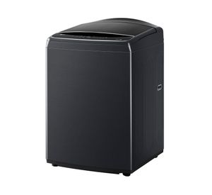 Lavadora WT25PBVS6 carga superior 25 kg negro