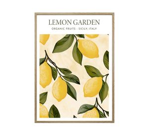 Lámina decorativa enmarcado 70x50 cm D3