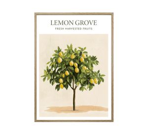 Lámina decorativa enmarcado 70x50 cm D4