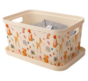 Caja organizadora Teen 6.2 lt