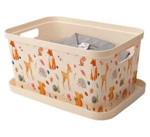 Caja organizadora Teen 10 lt